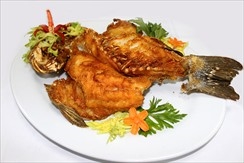 Хорошо прожаренный хрустящий чёрный окунь – Тигровый окунь – Красный окунь подаётся с манго и рыб