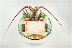 Lobster Sashimi
